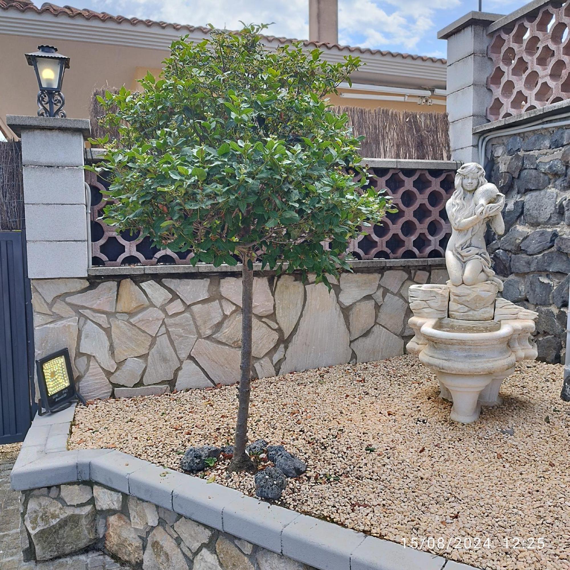 La Biznaga Villa Fogas de Tordera Luaran gambar